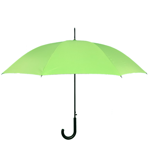 Umbrella Auto Long Executive Green