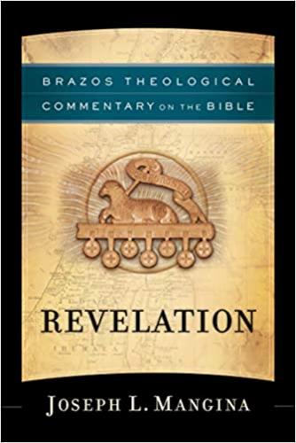 Brazos Theological Commentary On The Bible Revelation